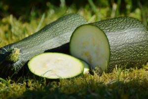 Zucchini: A Power House of Nutrition